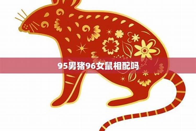 95男猪96女鼠相配吗婚姻