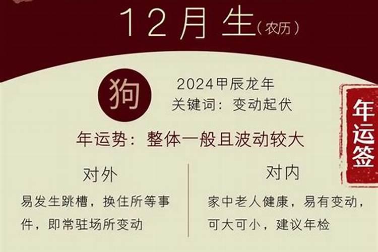 农历12月生的狗的命运