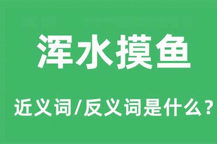 梦见浑水摸鱼是什么意思周公解梦