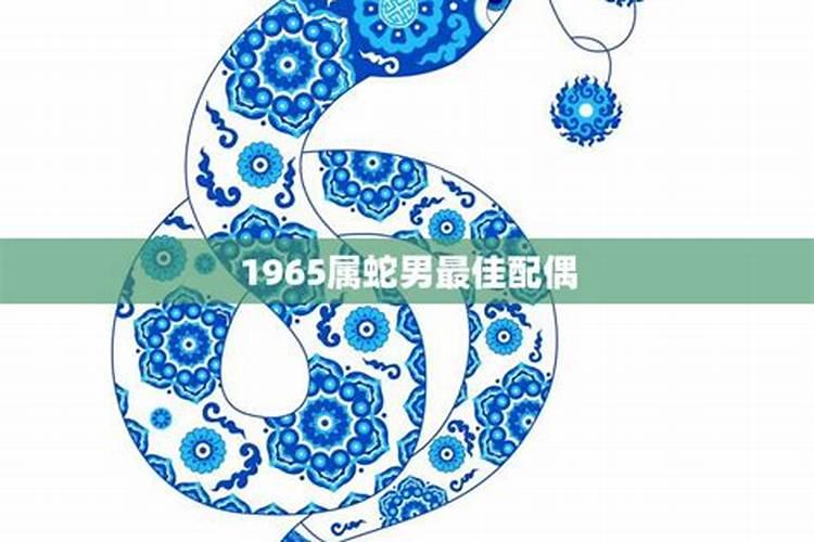 1965属蛇男的性格与爱情