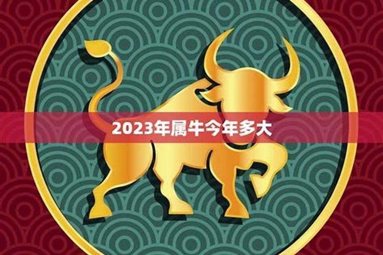 属牛的今年多大年龄2023