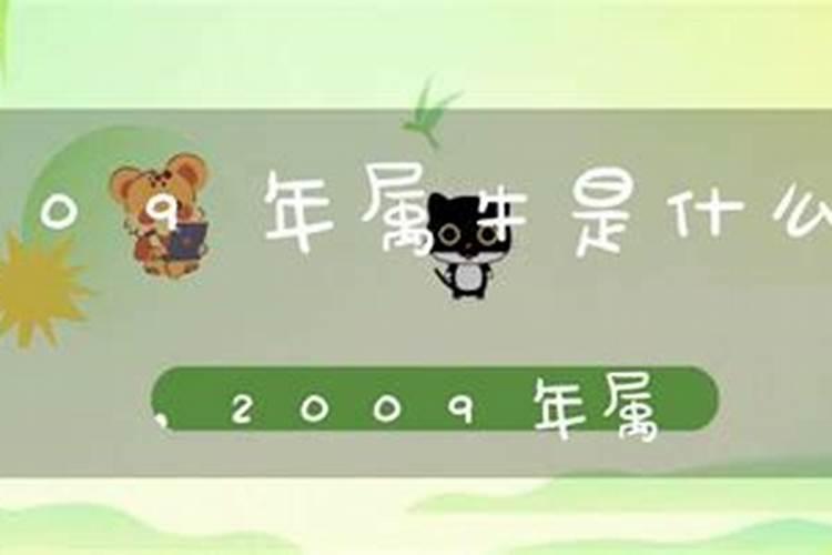 2009年属牛是什么土命