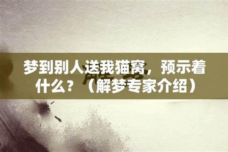 梦见别人给我动手术相关