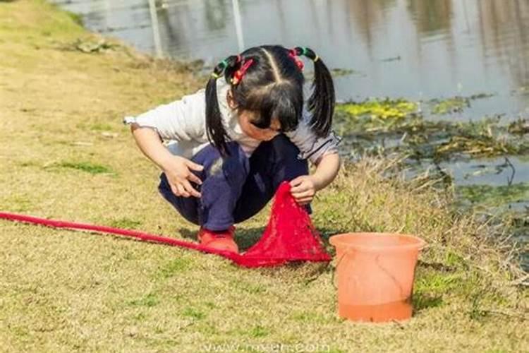 梦见捞虾子小鱼怎么回事啊女生