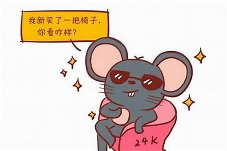 猪和蛇八字合不合