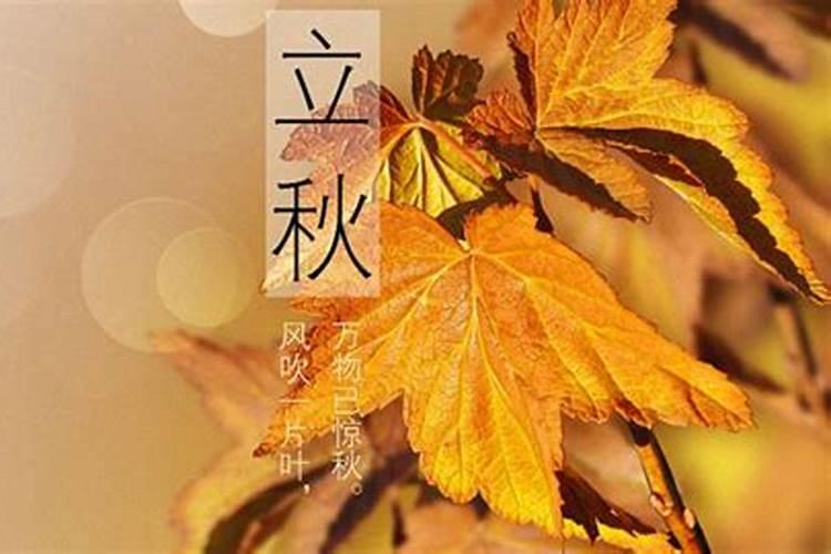 属龙的今年犯太岁带什么