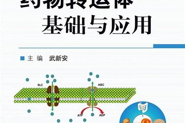 转运方式有哪几种类型