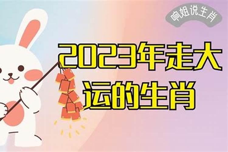 2023年开始走大运的生肖蛇