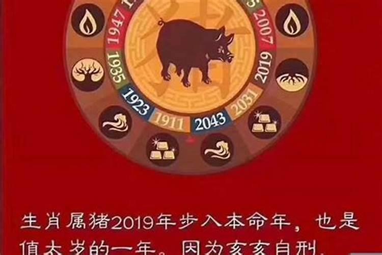 属马年运势2022年运势