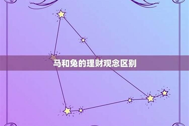 属马属兔的合不合