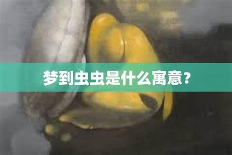 梦见虫子是什么征兆周公解梦