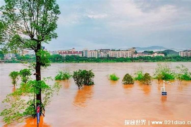 梦见大水淹死人是什么兆头