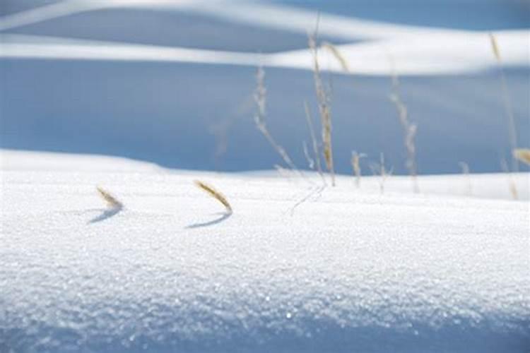 梦到雪是什么意思啊