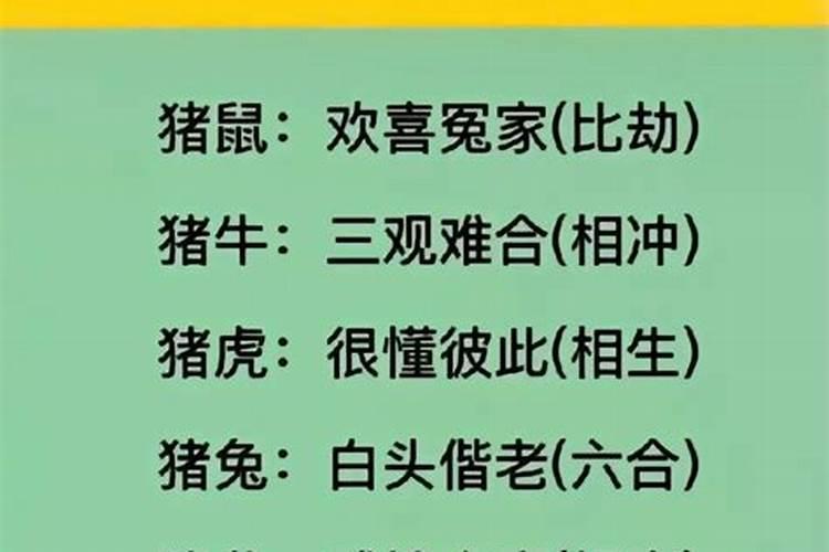 关于端午节的活动有哪些