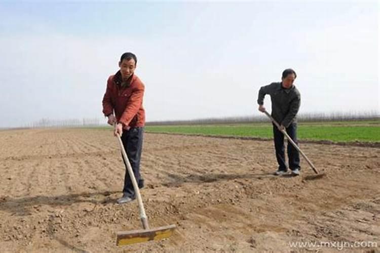 梦见在平整土地里挖土