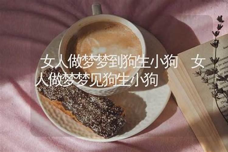 做梦见狗什么意思周公解梦女人生孩子