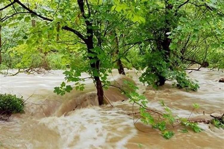 梦见山里喷水涨水