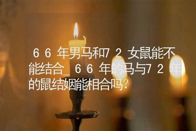 66年的马和69年的鸡合不合婚