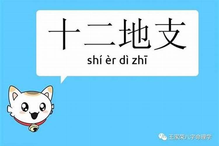 八字根在不同位置