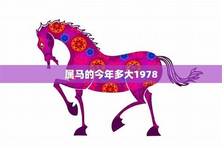 属马的今年多大了1978年出生