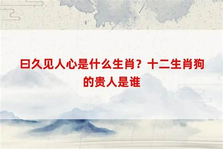 梦见手机丢了找见了周公解梦