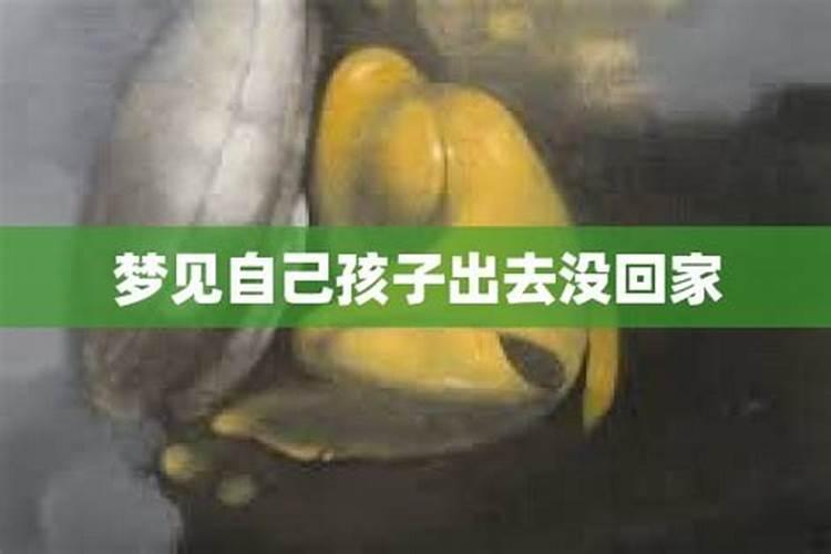 梦见儿子还没回家