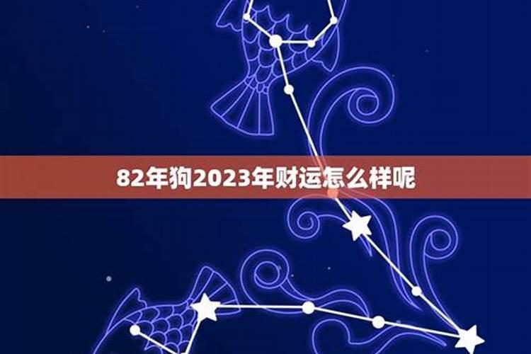 82年2023年运势及运程详解