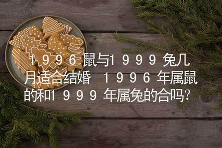 兔年96年属鼠的运势怎么样