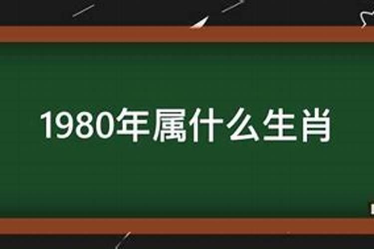 1980年女最佳配偶属什么