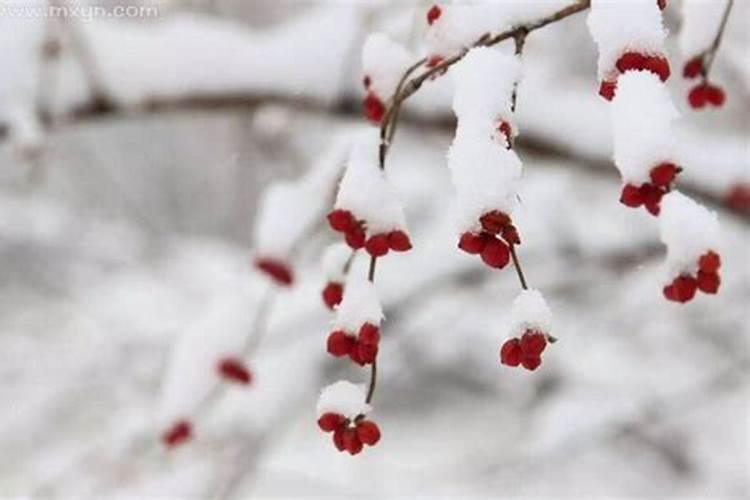 梦见刮风下大雪是什么意思