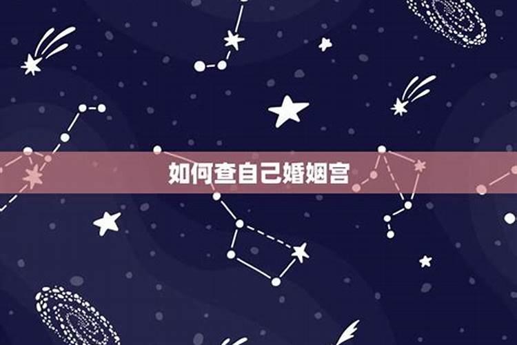 十二宫星座怎么看