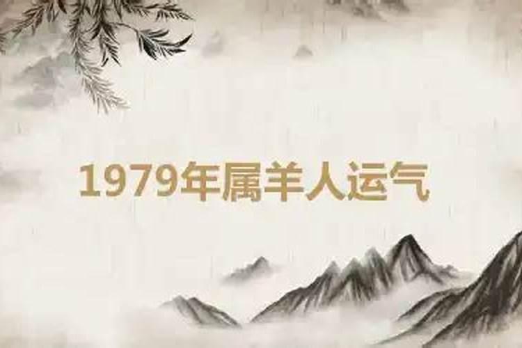 98年属虎人2024年运势运程