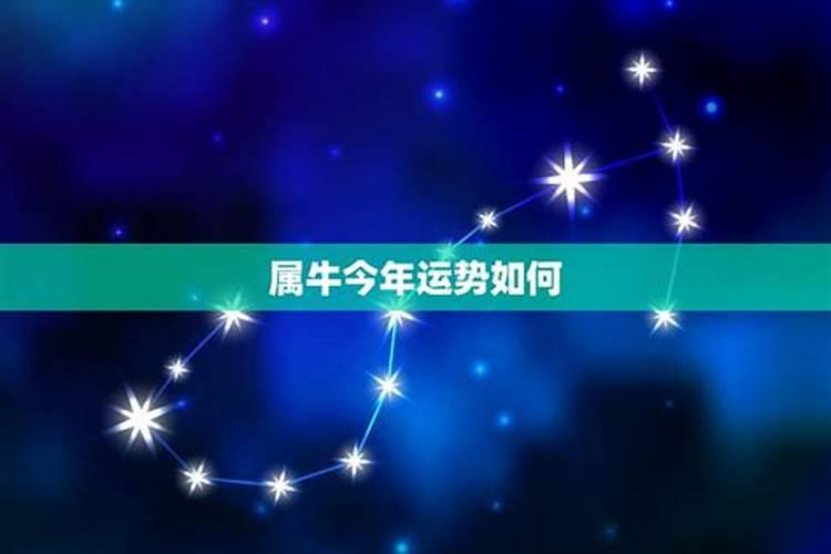 属鼠2024年3月14日运程如何