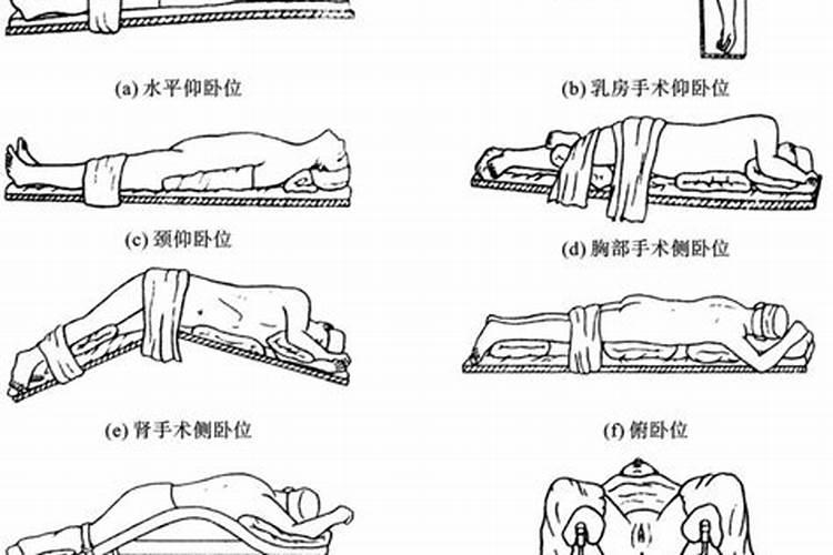 属鼠人虎年运势2022运势详解虎人虎年运势