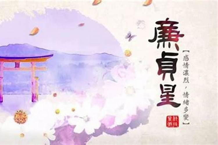 廉贞天相子女宫流年