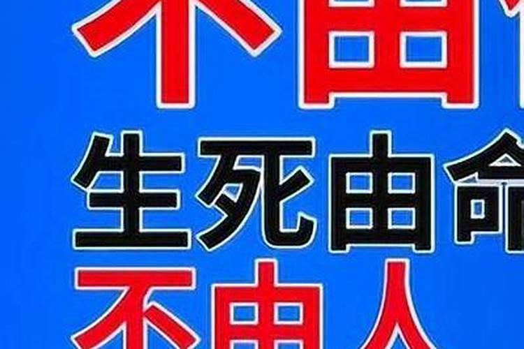 命运天注定半点不由人注定