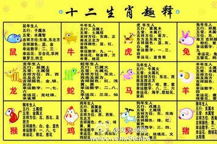 34岁属鼠今年运势怎么样