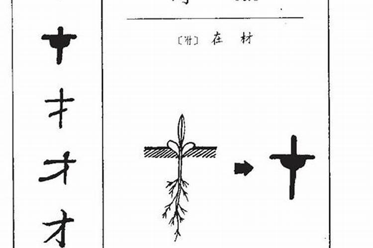 才字五行属什么寓意和含义