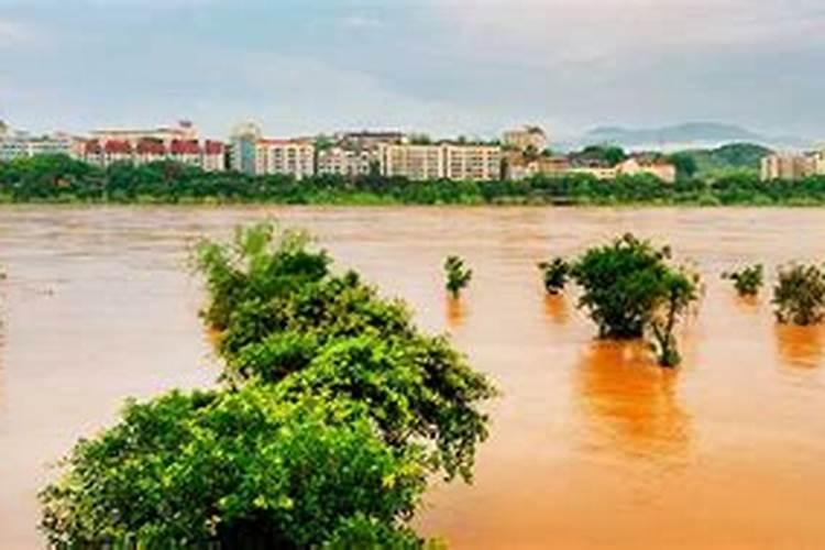 梦见雨后大河涨水什么意思