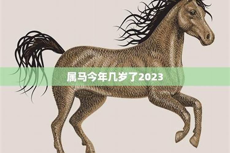 属马今年多少岁2021