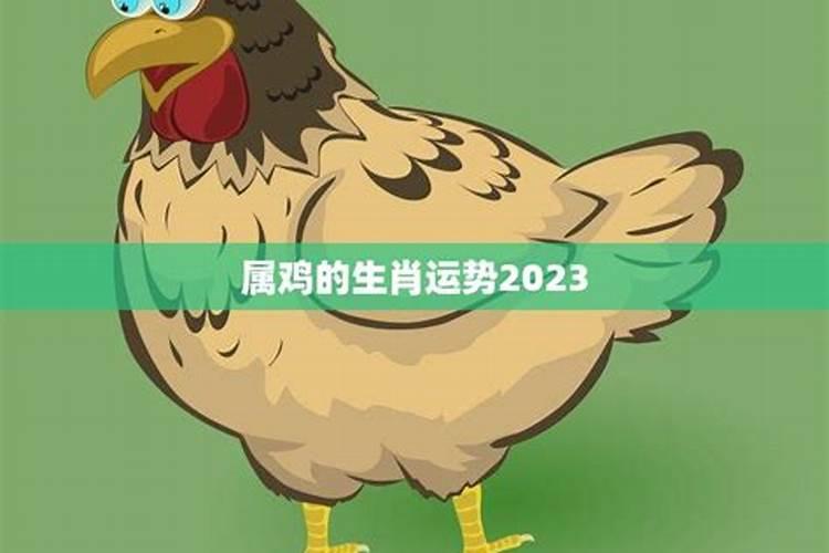 81年出生的2023年运势如何