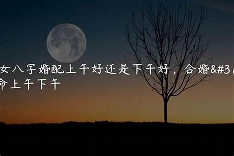 属猪2021年农历6月运势及运程如何