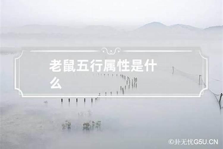 十二生肖鼠五行属什么