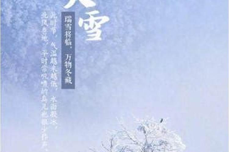 属兔人在哪些年份不好