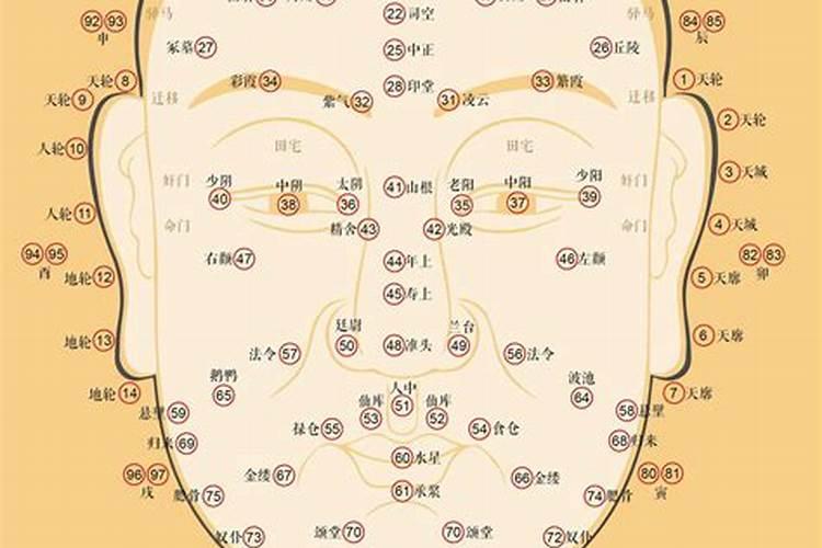 面相的流年运势如何