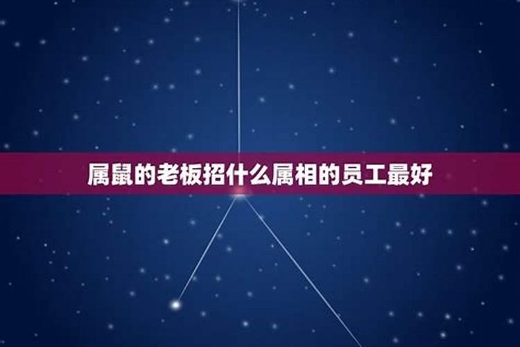 属鼠的领导和属兔的员工怎么化解相冲