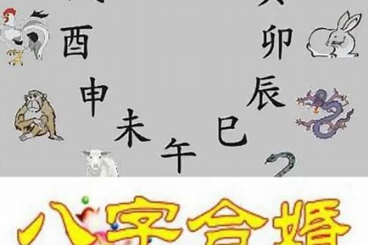 本命年犯小人怎么化解