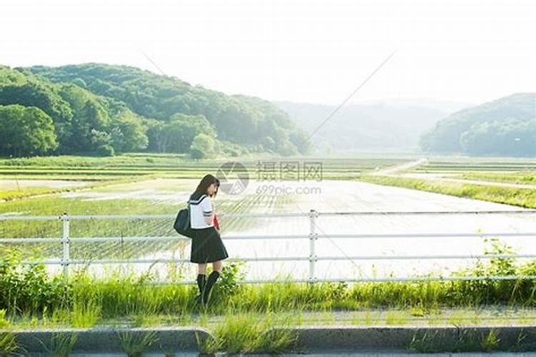 梦见走在回家的路上走