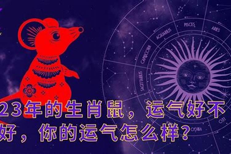 鼠今年的运势怎么样2023年结婚