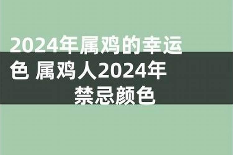 2023年属兔人财运运势如何看呢女孩名字